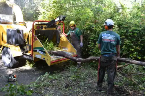 tree services Goodland